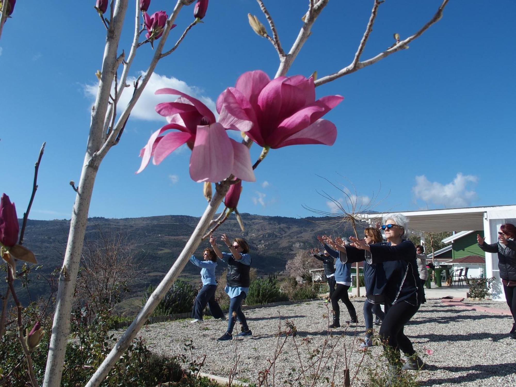 Ktima Noosfera Wellness & Retreat Center Hotel Karia  Luaran gambar